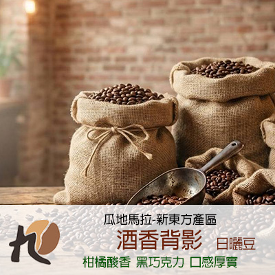 =中美洲地區= 新東方產區-酒香背影(日曬豆)-【半磅包裝 / 10入盒裝掛耳】